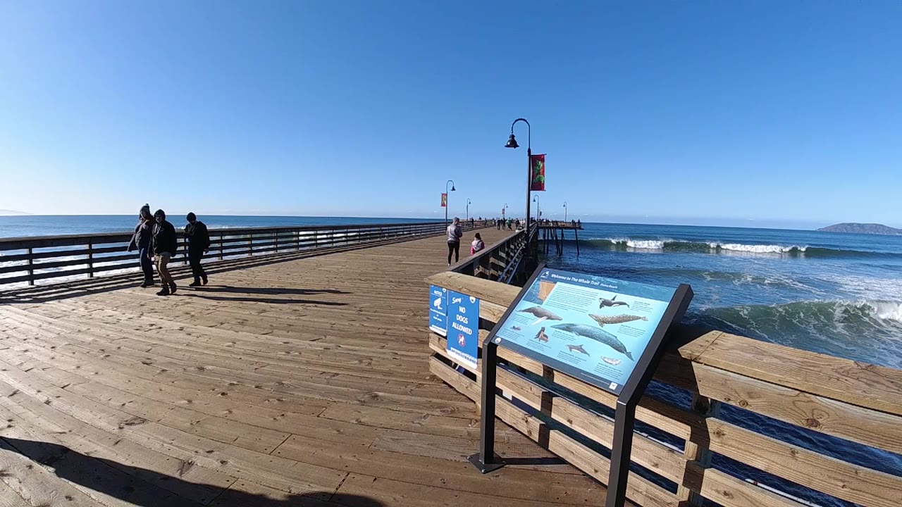 Sunlit pier deck with people, ocean railing, sign, and breaking waves.