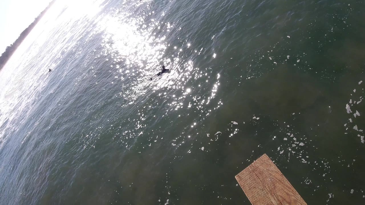 Overhead Pismo Beach water shows stronger glare along the left side, dark green ripples across the frame, a small water bird near the upper left, a wooden dock corner lower right, and no visible people.