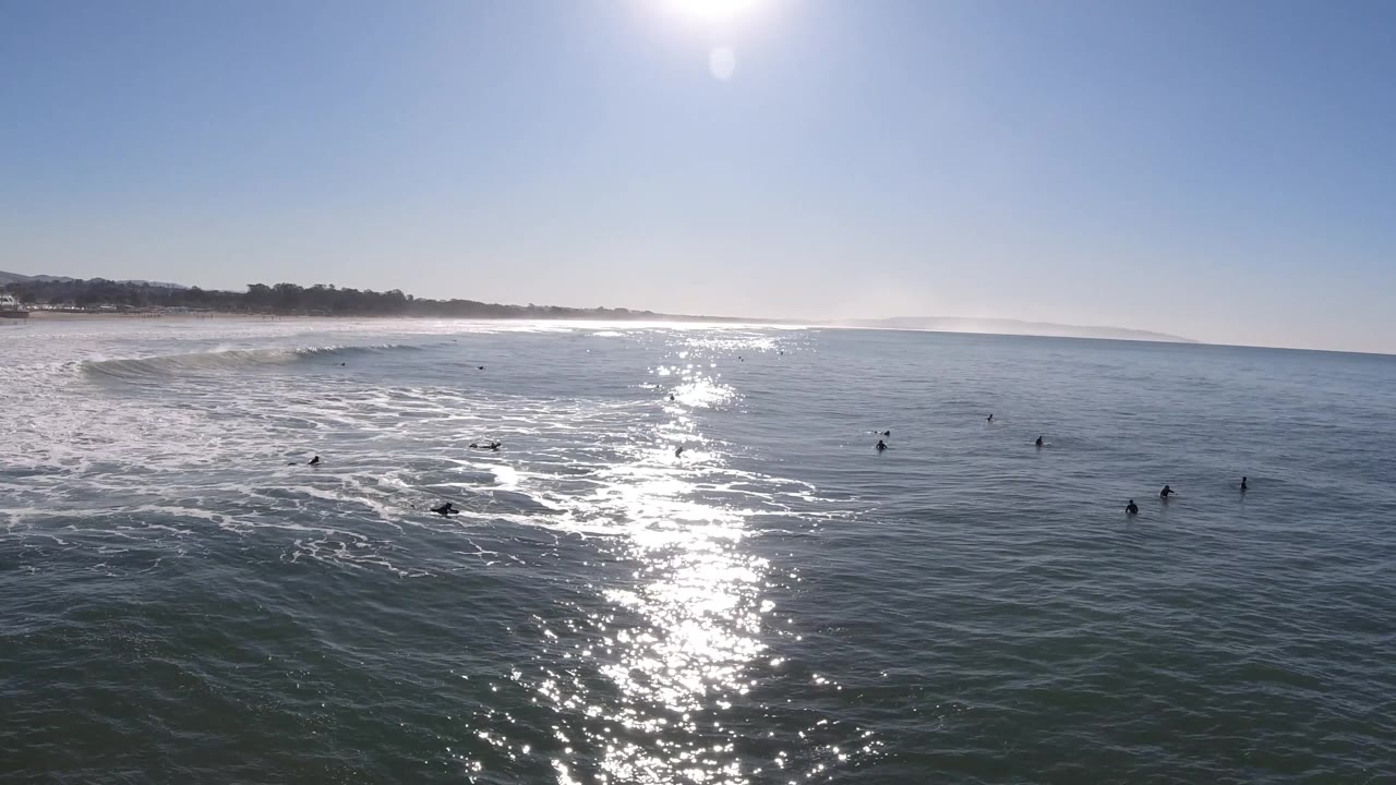 The Pismo Beach surf line curves along the left background as open water fills the frame, with birds dotted across the midground and no visible people.