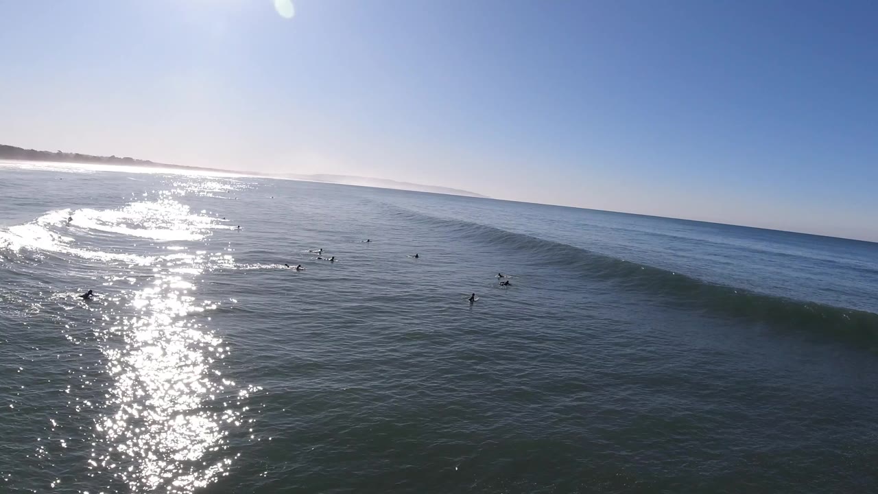 Surfers paddle near a long ocean swell
