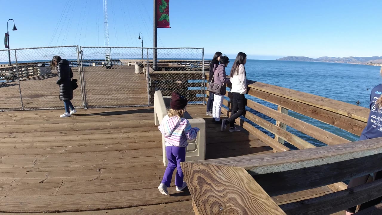 People on a pier platform with ocean behind them.