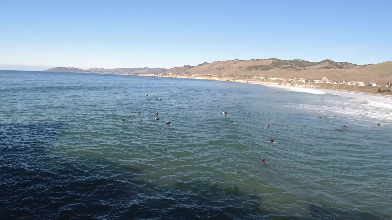 Aerial frame from Pismo Beach, California showing scattered small dark animals floating in blue-green ocean water, white surf along the beach at right, coastal hills in the distance, and no visible people.