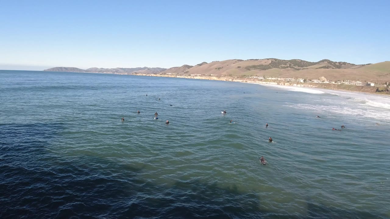 Aerial frame from Pismo Beach, California with small dark animals dispersed across gentle water, darker foreground ocean, a pale surf band at right, distant hills, and no visible people.