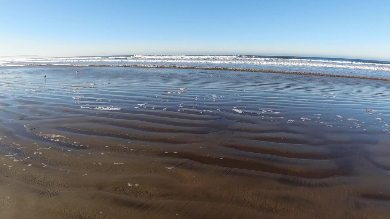Pismo Beach shallows cover dark rippled sand in the foreground while a long band of white ocean waves breaks below a clear blue sky, with no visible people.