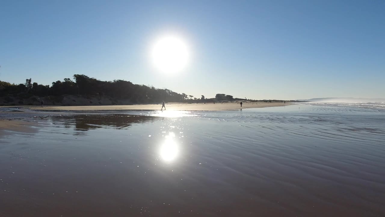 Pismo Beach shoreline at the start of the clip, with bright sun reflected on wet sand, small waves at right, a dark tree line in the distance, and tiny distant beachgoers.