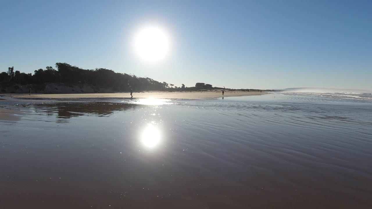 Reflective shoreline under bright sun with distant trees and surf.