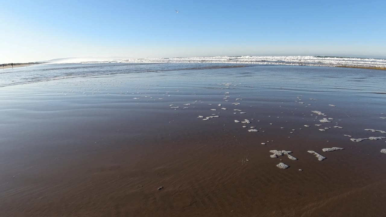At Pismo Beach, California, a low view across glossy wet sand shows foam patches spread near the center and right while the surf line sits high in frame, with no visible people.