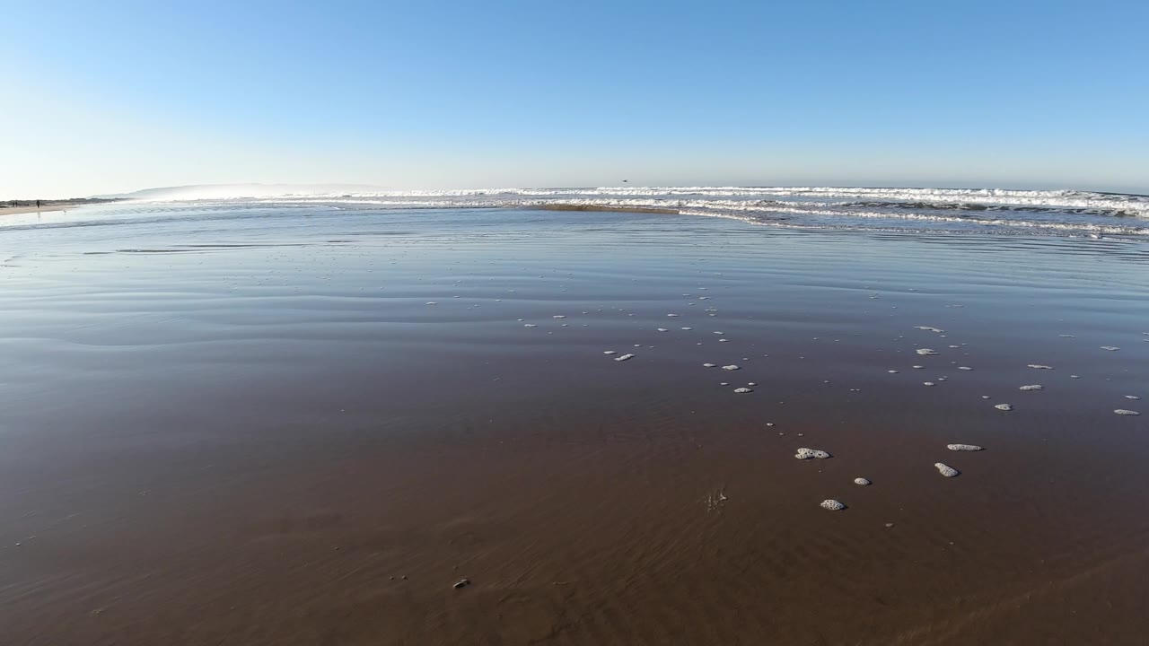 Pismo Beach shoreline at low tide with darker wet sand in front, small pale shells or stones across the flats, distant breaking waves, and no visible people.
