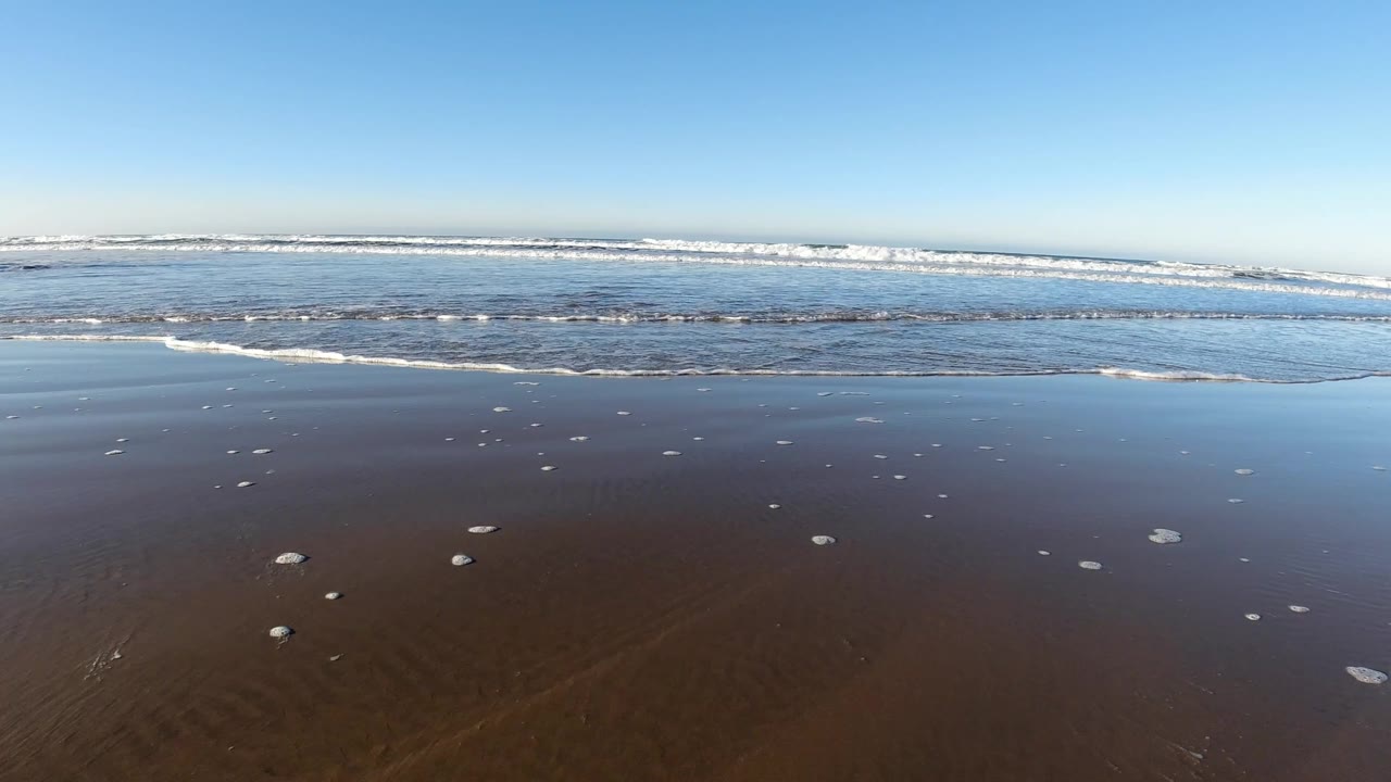 Pismo Beach surf sits farther across the frame, with scattered foam dots on dark wet sand, a pale blue sky, and no visible people.