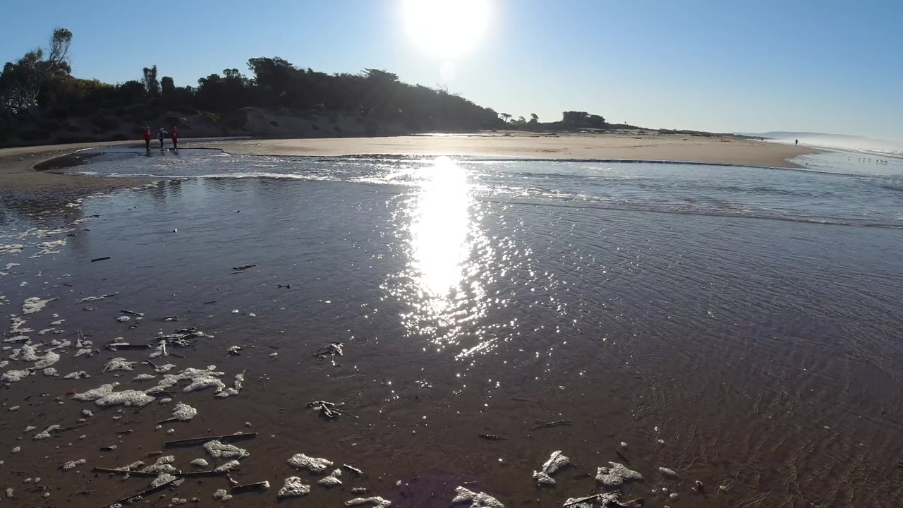 Sunlit shallow surf over wet sand with foam and distant trees