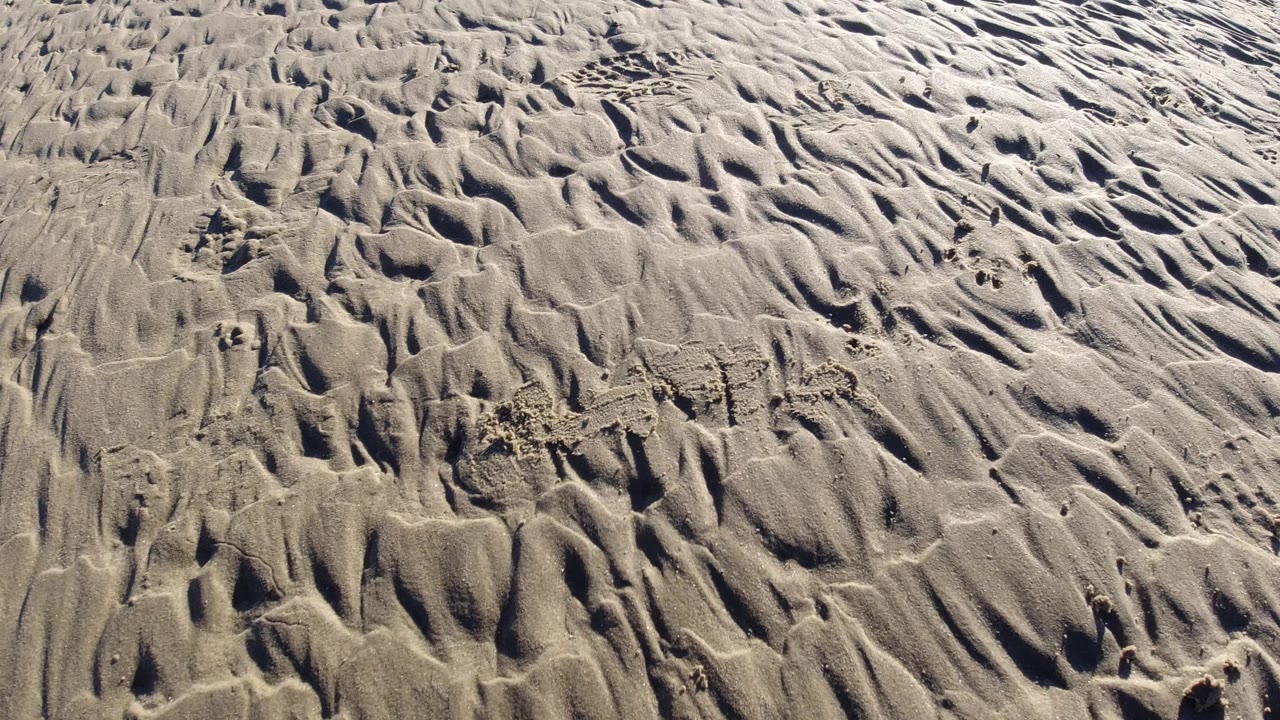A similar close view of Pismo Beach sand shows denser ridges and darker troughs running diagonally through the frame, with no visible people.