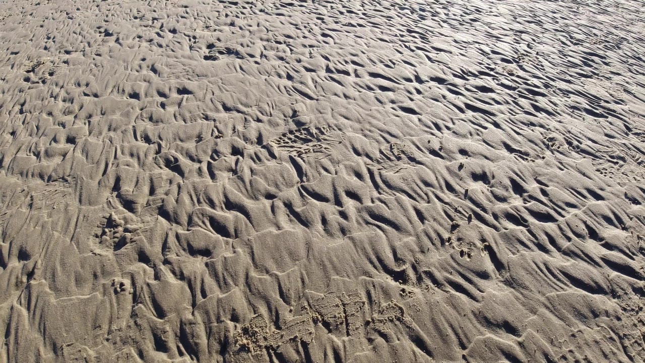 Pismo Beach sand fills the frame with diagonal ripple marks, compacted streaks, small raised clumps, and no visible people or structures.