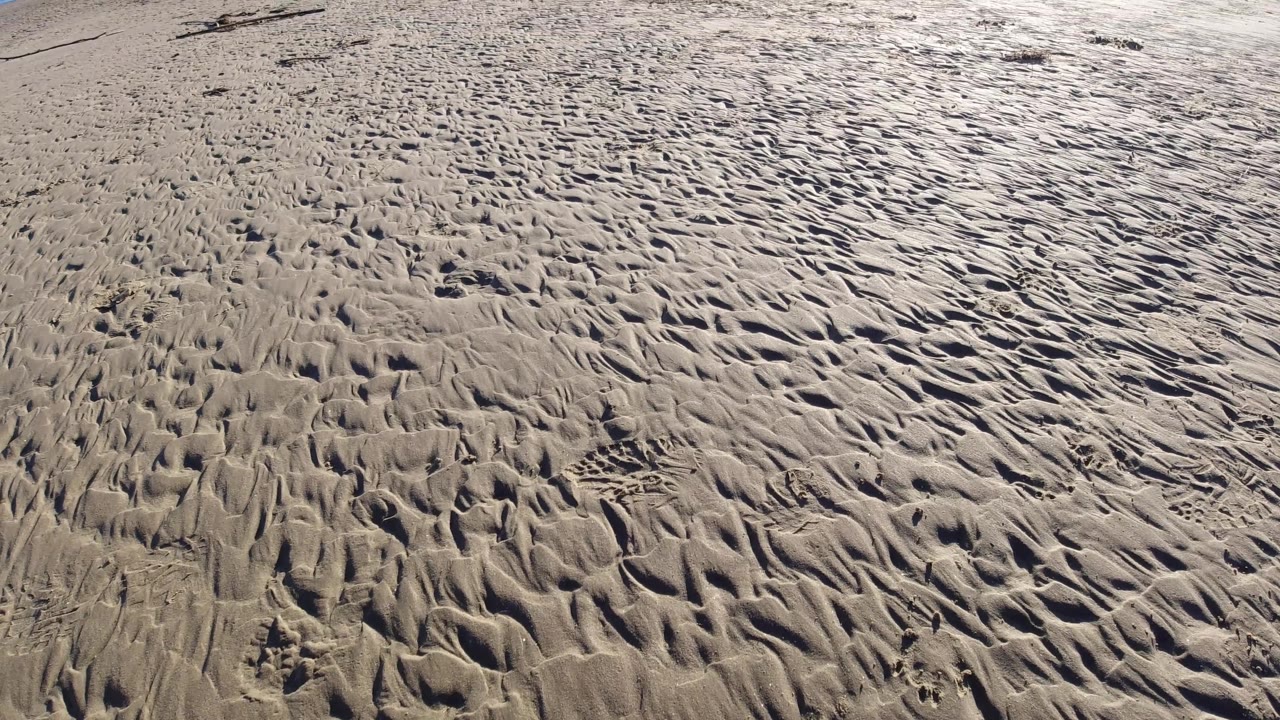 A broader-looking section of Pismo Beach sand shows ripples spreading across the frame, with a few rough clumps and no visible people.