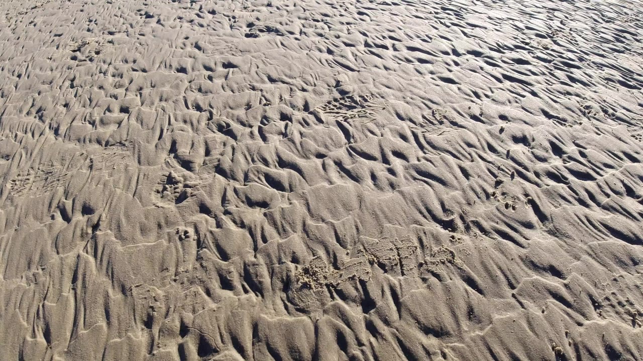 Pale rippled sand with shallow channels and small dark pits.