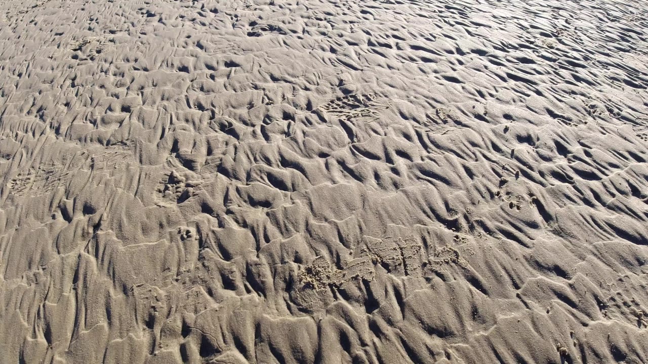 Close angled view of Pismo Beach sand showing branching grooves, fine ripple lines, darker indentations, and no visible people.
