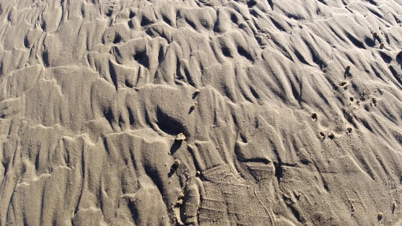 Close view of Pismo Beach sand with tight ripple marks, shallow gouges, a dark hollow near the lower left, and no visible people.