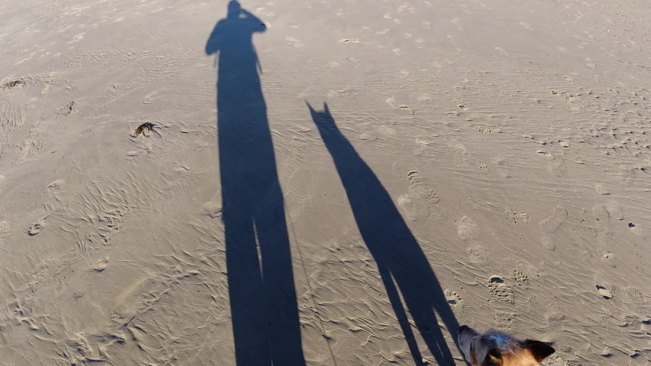 At Pismo Beach, the dog moves toward the lower right edge while the owner and dog shadows remain the clearest shapes on the flat sandy surface.