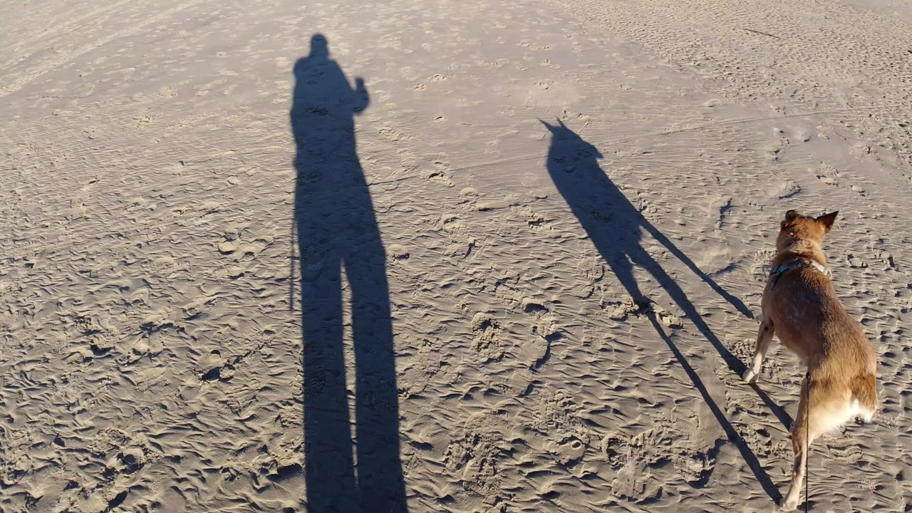 At 0:00 in Pismo Beach, a brown dog on a leash walks across textured beach sand while the handler's long shadow falls along the left side of the frame.