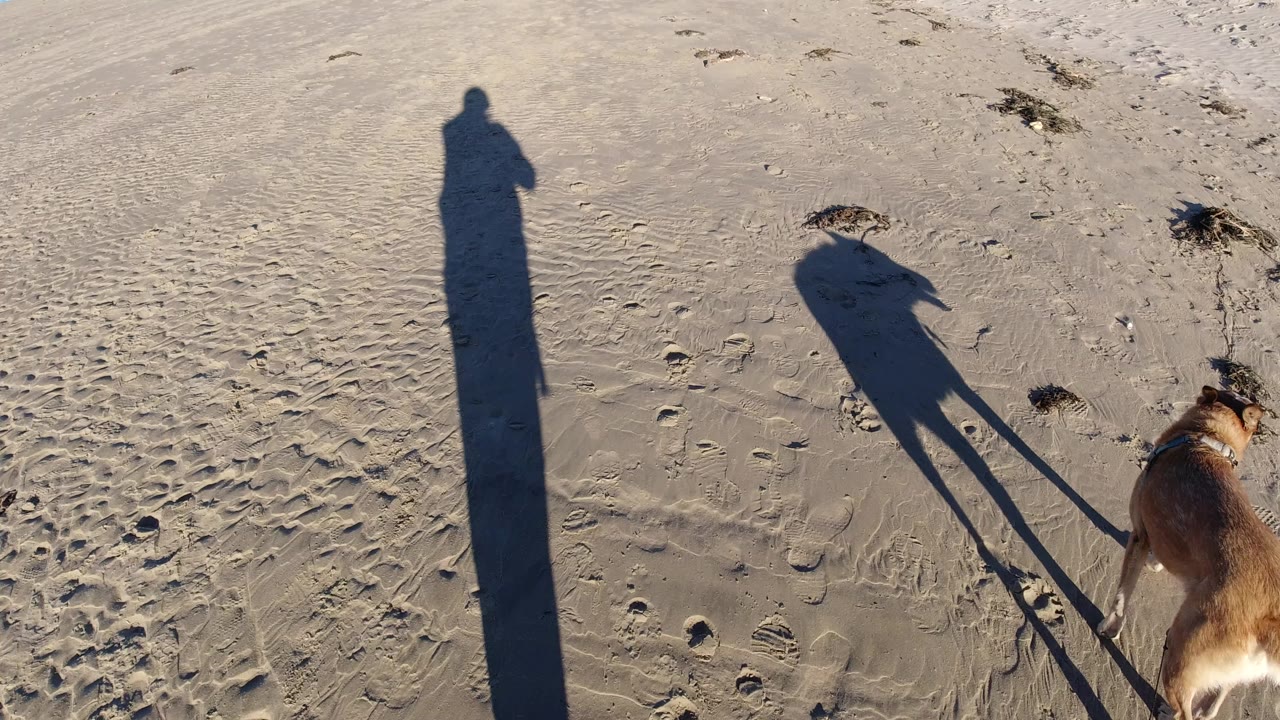 At Pismo Beach, a brown dog on a leash walks near the lower right while long shadows of the owner and dog stretch across rippled sand.