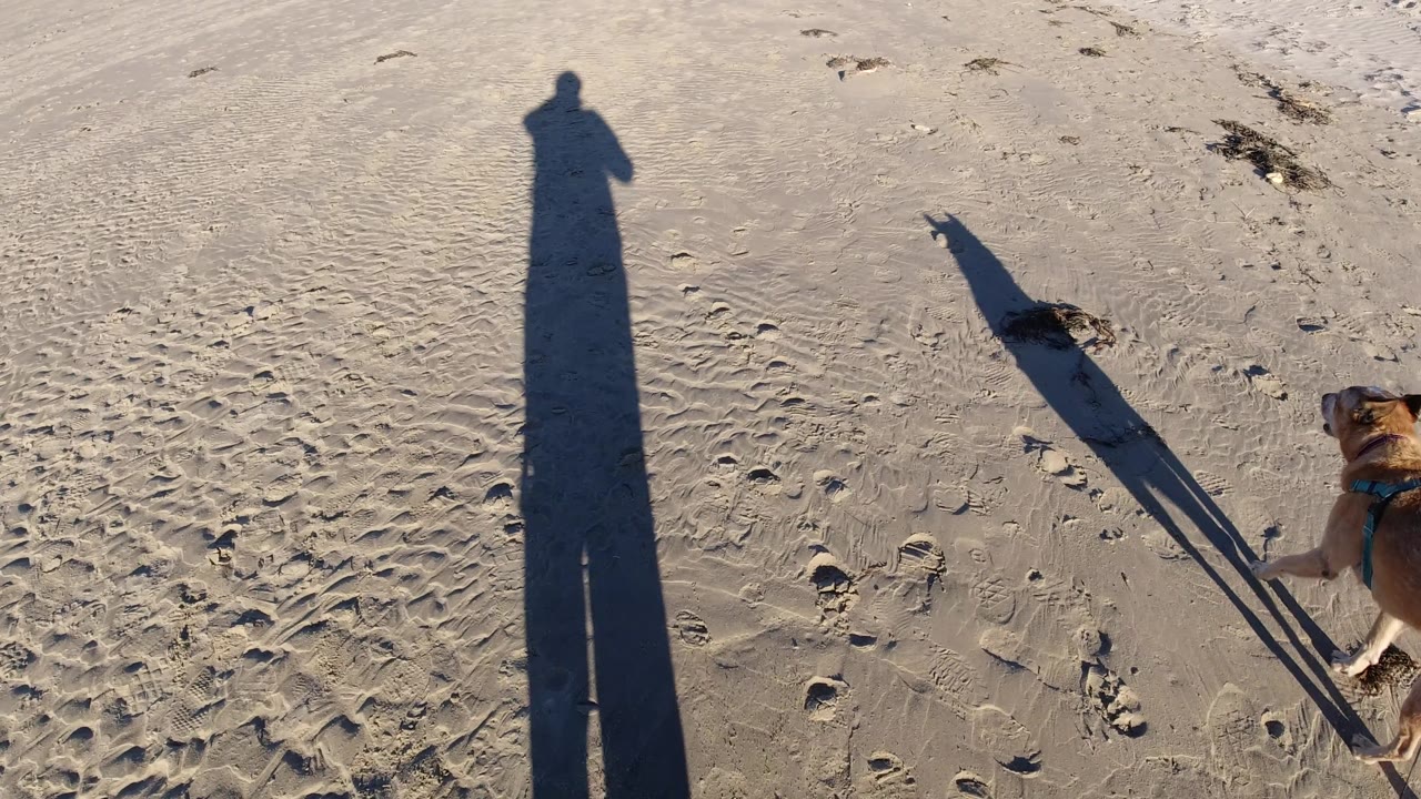 The dog moves toward the right edge while the owner's shadow remains centered on the Pismo Beach sand and the dog's shadow stretches diagonally across the frame.