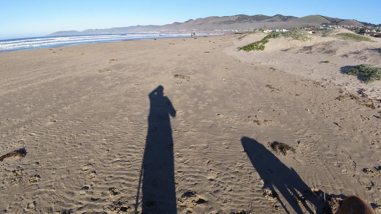 Pismo Beach sand flat and surf under clear light, with the walker shadow centered and the dog mostly cropped at the bottom right edge.