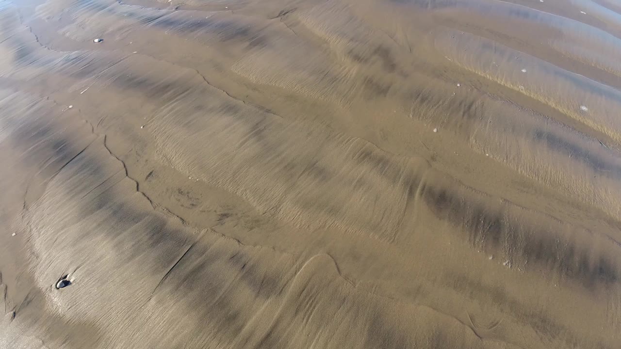 Overhead frame of Pismo Beach wet sand at low tide, with dark streaked patterns, small scattered shells, and no visible people.