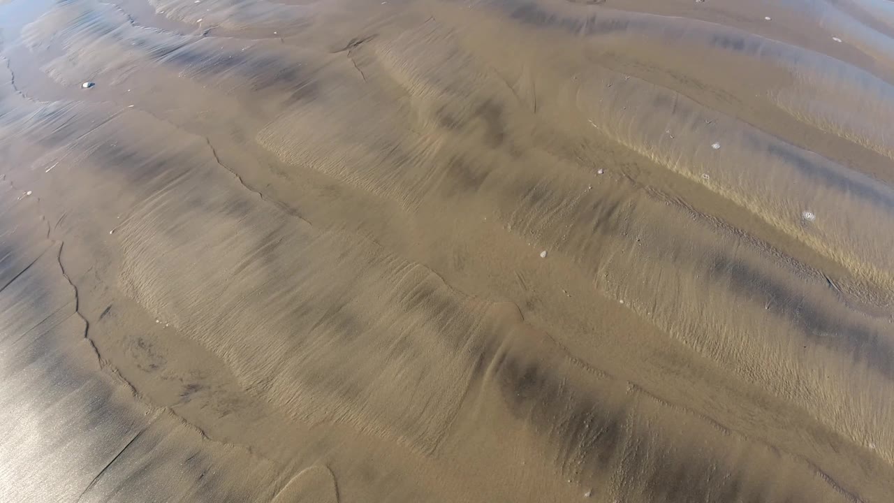 Top-down Pismo Beach frame with reflective wet sand, branching darker lines, a few small shells, and no visible people.