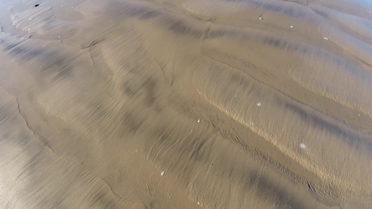 Pismo Beach wet sand fills the frame with curved low-tide ridges, dark bands, scattered white shells, and no visible people.