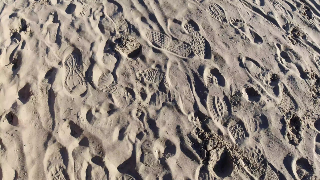 Close overhead frame of Pismo Beach sand where overlapping footprints and dragged marks create dense texture, with no visible people.