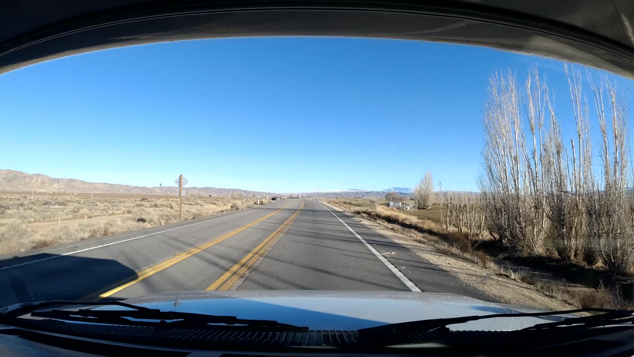 Coast California road view from a vehicle, with the hood at the lower edge, a two-lane road bending through dry open land, tall leafless trees on the right, low hills in the distance, and no visible people.