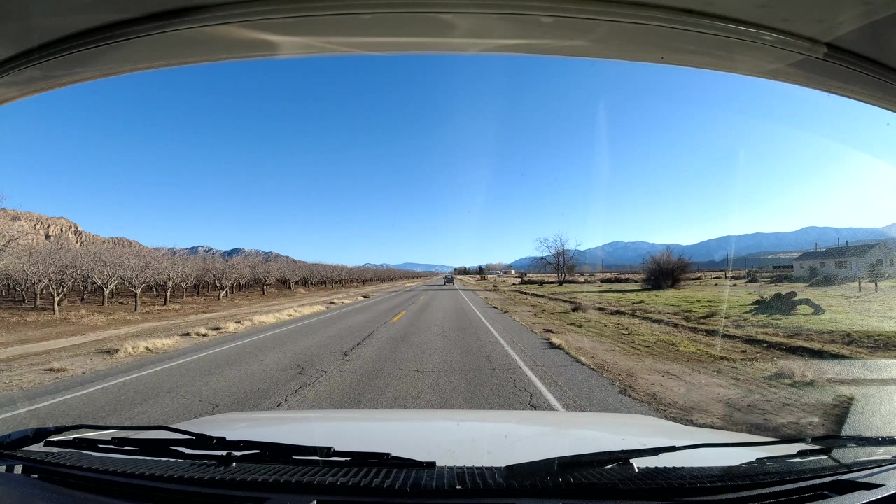 Two-lane road beside an orchard with mountains in the distance.