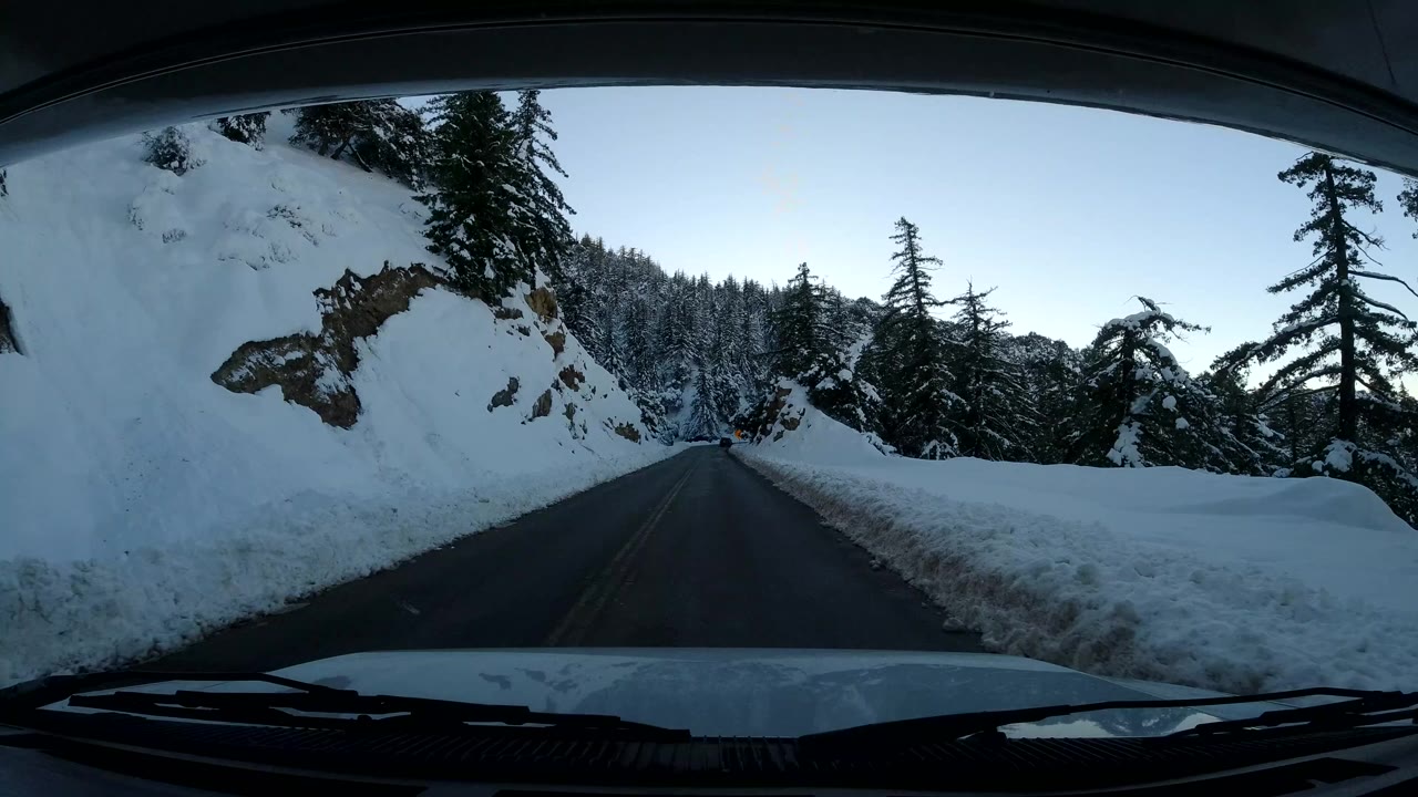 Coast California 2019 dash view entering a darker stretch of winding road, with high snowbanks, evergreen trees, a cut slope, and no visible people.