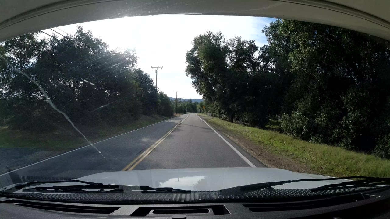 Tree-lined road seen through a windshield