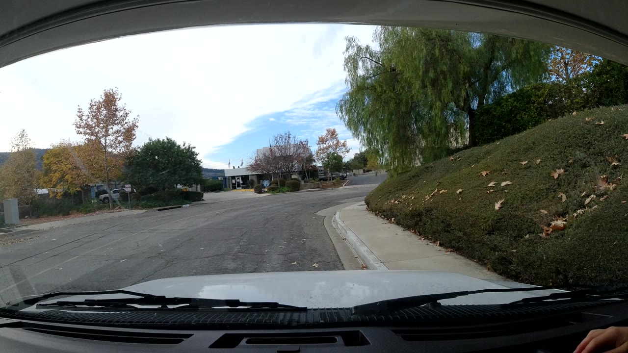 Curbside street view beside a hedge with trees and low buildings across the road.