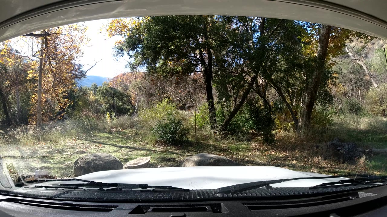 Third frame holds on the inside-car perspective in Ojai, with heavy tree shade on the right, bright sun flare on the left, and no visible people.