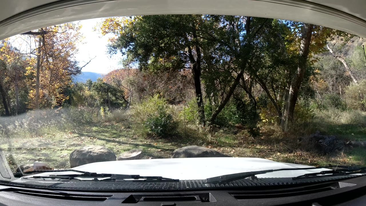 Second Ojai, California frame through the front windshield, with glare from the left, dense green trees to the right, pale brush ahead, and no visible people.