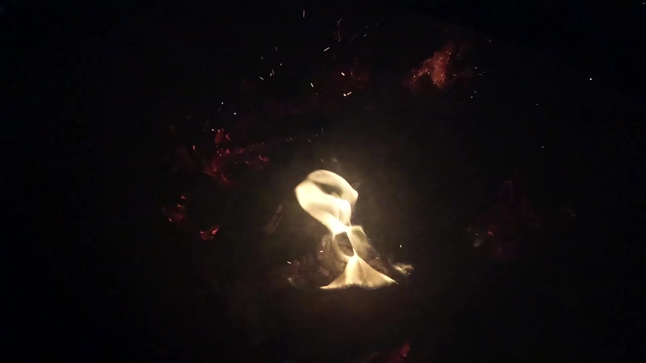 Small yellow flame curls over dark branches and leaves in Ojai, California, with no visible people in the frame.