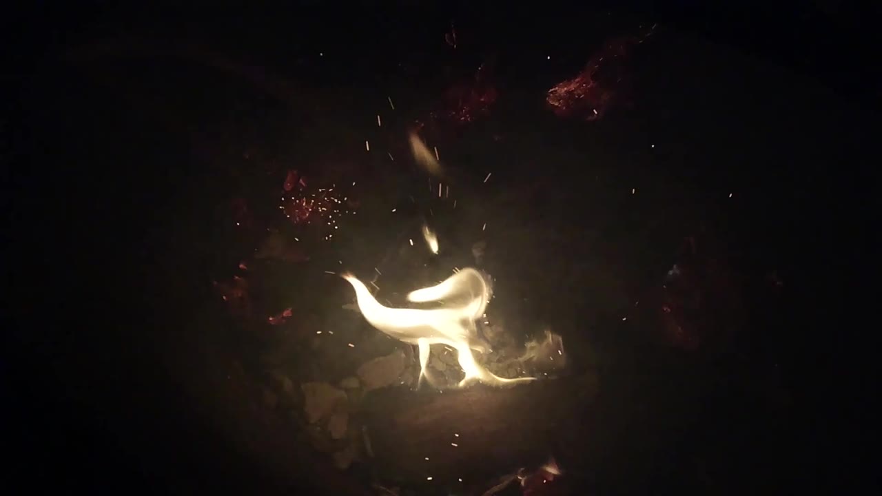 Low flame stretching across branches