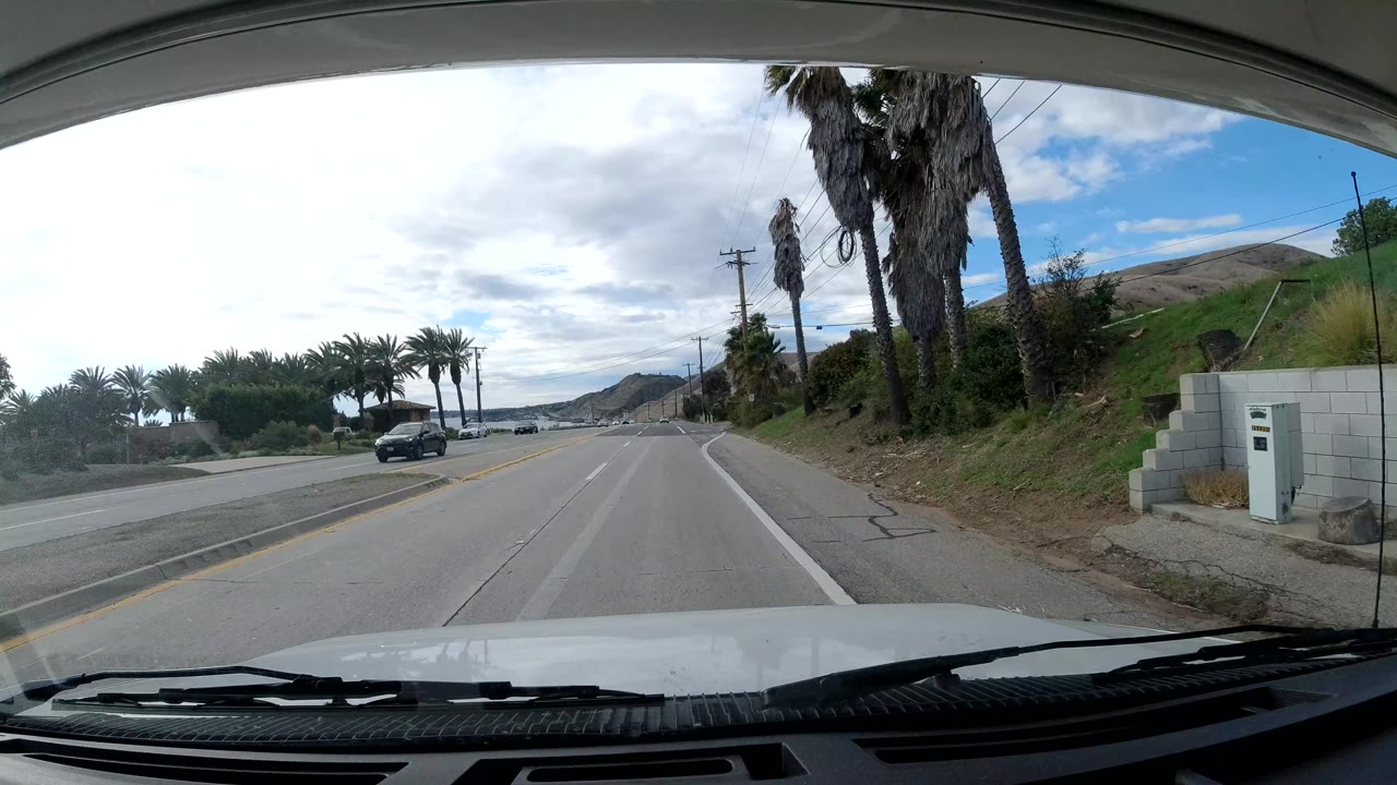 Palm-lined road with hills, parked vehicles, and cloudy coastal light.