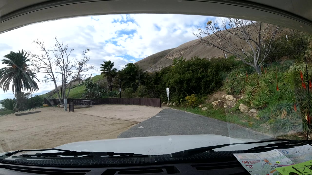 Car-front perspective in Malibu, California, looking through the windshield at roadside planting, palms, bare tree branches, a hillside, and no visible people.
