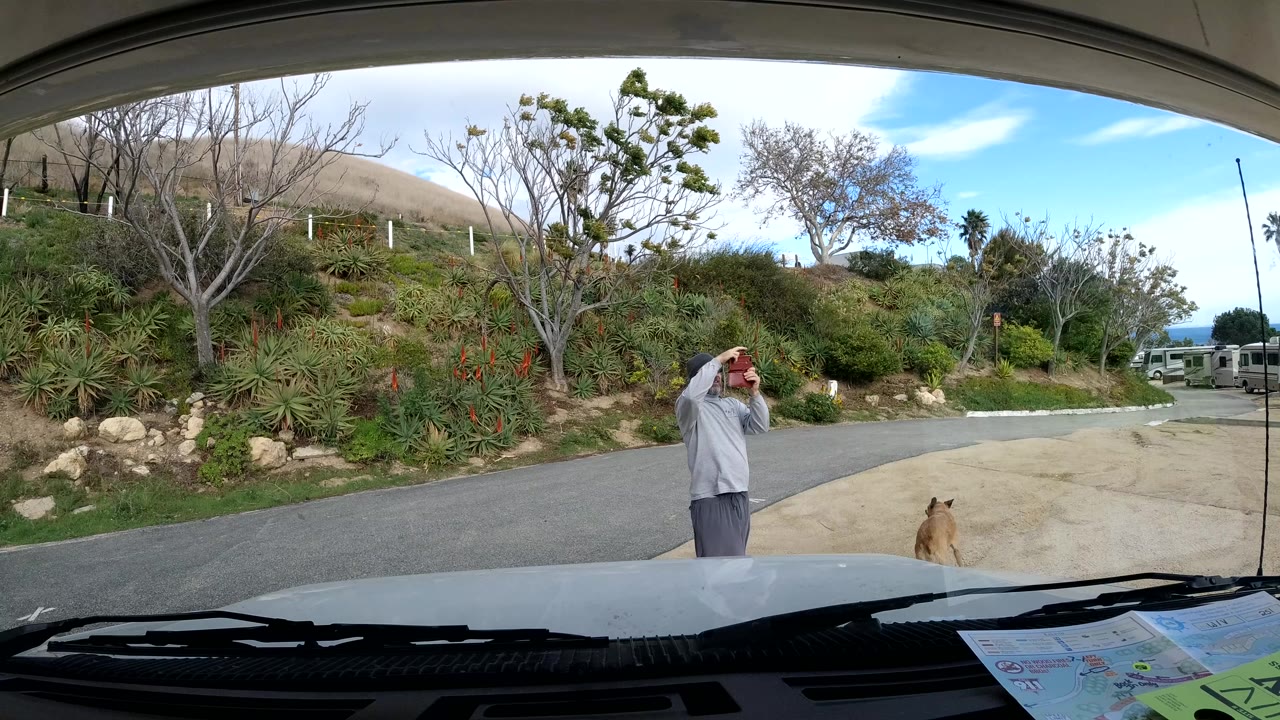 Malibu, California windshield view with dashboard, wipers, hillside plants, road, a standing person, and a dog visible near the vehicle.