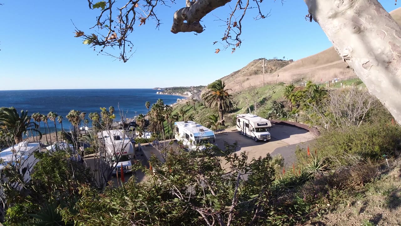 Wide Malibu ocean view seen past palms, RV roofs, hillside brush, and a large foreground tree trunk, with no visible people.