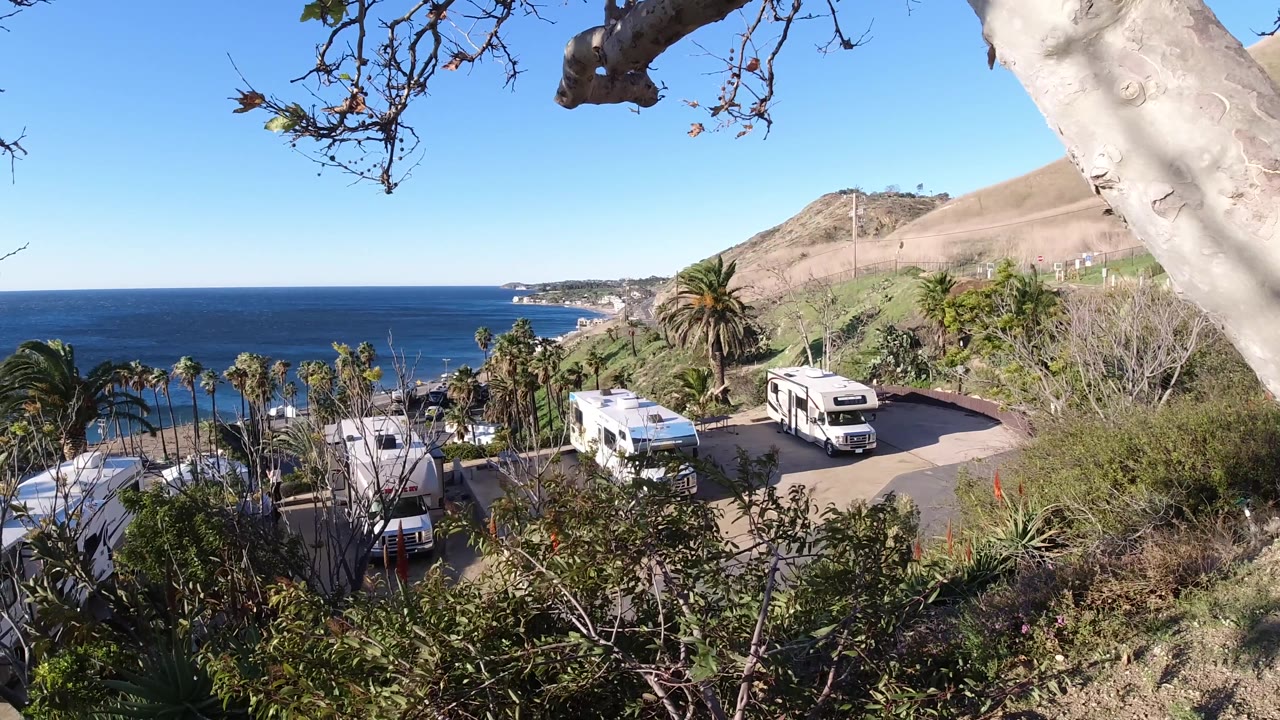 Bright coastal hillside view over RVs, palms, and ocean