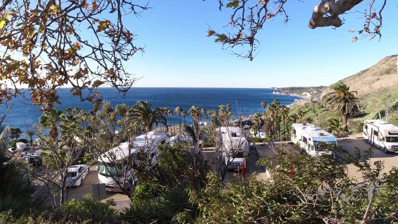 Malibu coastal frame with more tree canopy across the top, parked vehicles and palms in the lower half, hillside at right, open blue ocean behind, and no visible people.