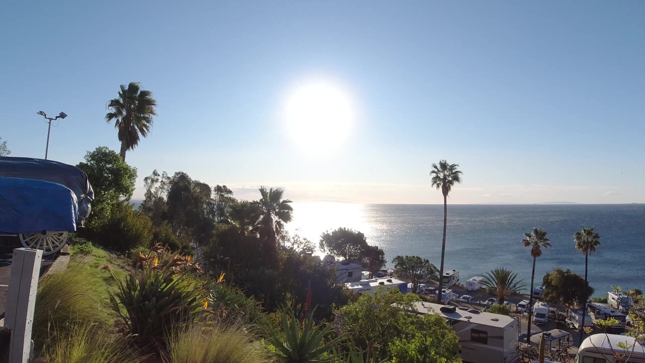 A backlit Malibu coastal frame shows the ocean horizon, bright sun, several palms, dense trees, low buildings and vehicles below, and no visible people.
