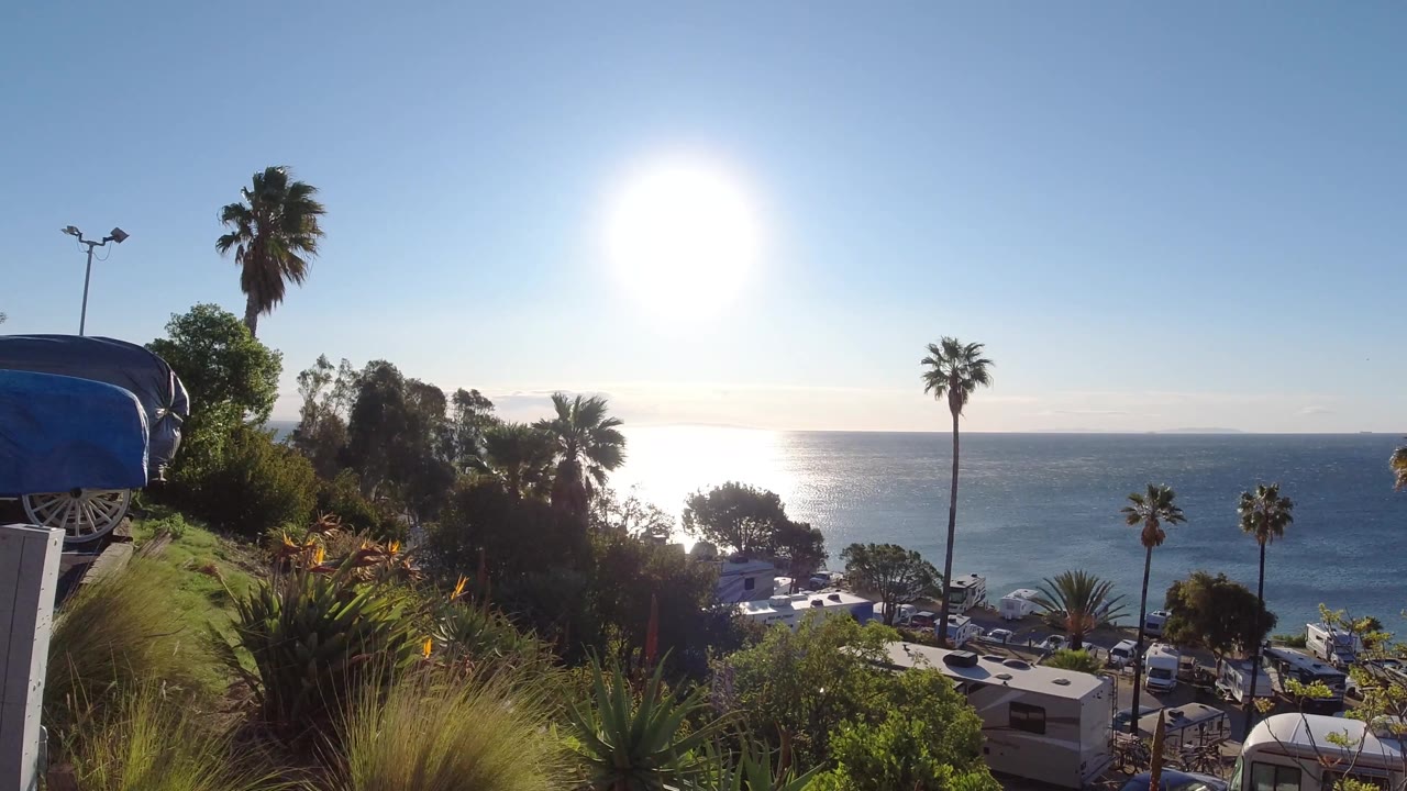 Bright sun over ocean with palm silhouettes and hillside grasses.