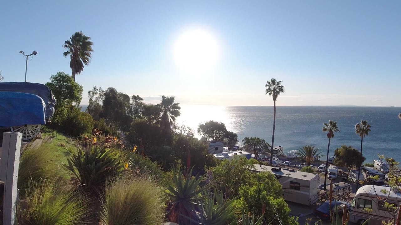 Malibu coastal hillside one second in, showing the sun high over the water, a tall palm near the horizon, layered shrubs and grasses, roadside vehicles below, and no visible people.