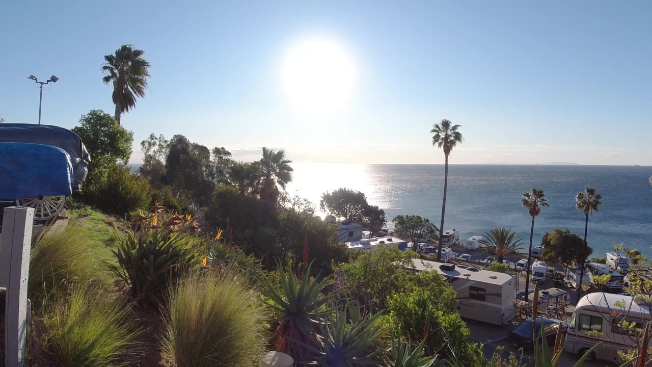 Malibu ocean horizon at 0:02, with strong sun glare, palms across the slope, thick foreground plantings, small vehicles and rooftops near the road, and no visible people.