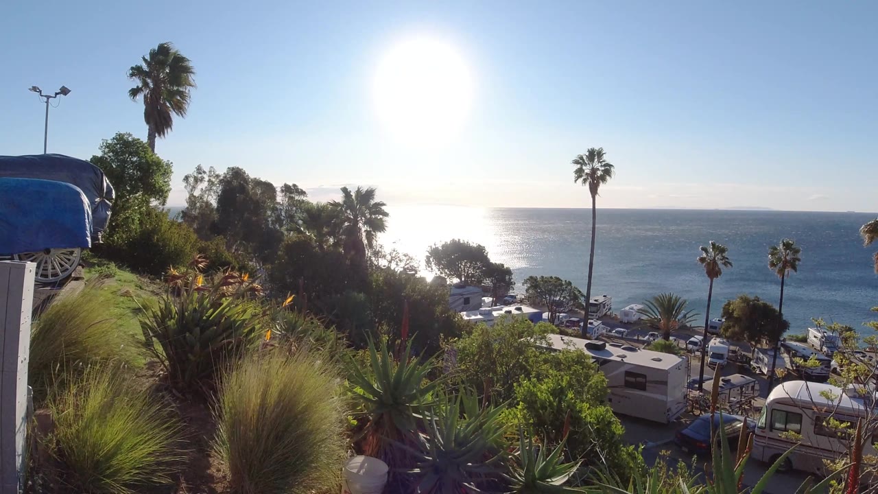 Backlit Malibu coast with palms, hillside vegetation, road, and ocean