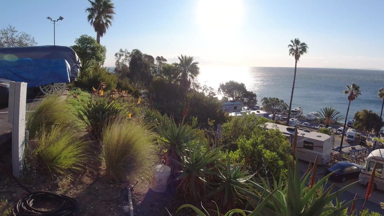 Malibu, California coastal campground view with bright sun glare on the ocean, tall palms, foreground grasses, trailers below, and no visible people at 0:00.